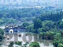 世界杯中国输了几个球-中国足球在世界杯的征途,挑战与失落
